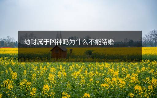 劫财属于凶神吗为什么不能结婚