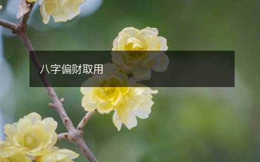 八字偏财取用