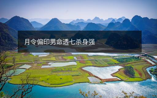 月令偏印男命透七杀身强