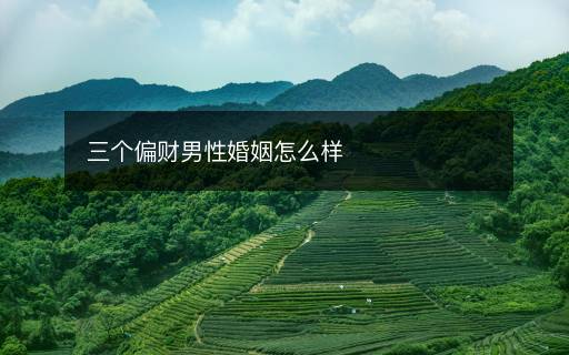 三个偏财男性婚姻怎么样