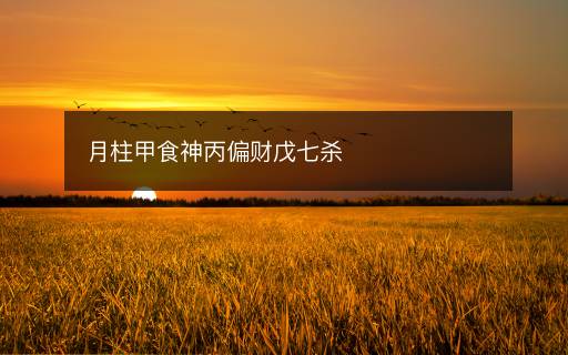 月柱甲食神丙偏财戊七杀