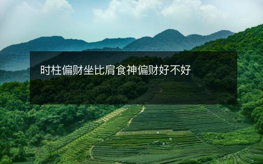 时柱偏财坐比肩食神偏财好不好