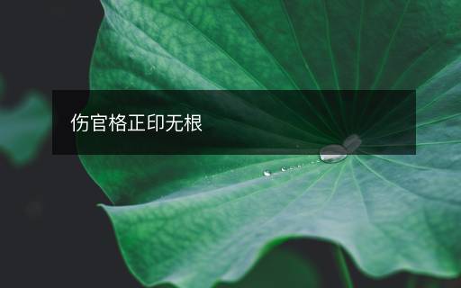 伤官格正印无根