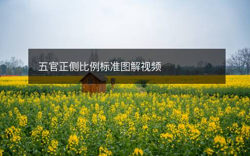 五官正侧比例标准图解视频