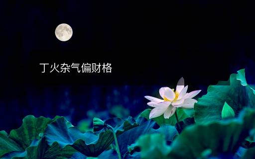 丁火杂气偏财格
