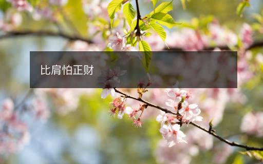 比肩怕正财