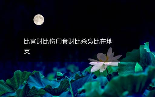 比官财比伤印食财比杀枭比在地支