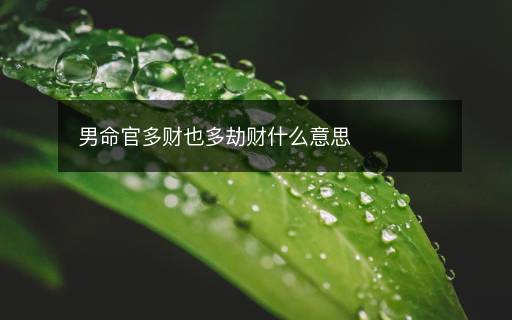 男命官多财也多劫财什么意思