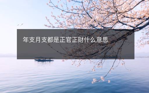 年支月支都是正官正财什么意思
