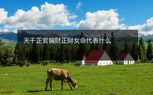 天干正官偏财正财女命代表什么