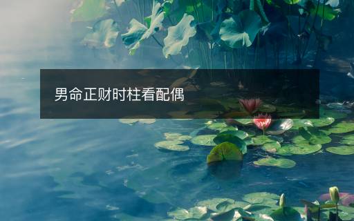 男命正财时柱看配偶
