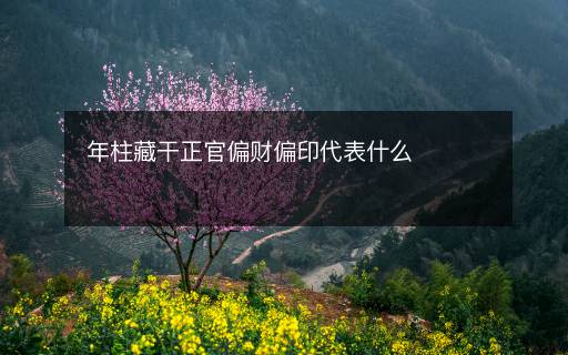 年柱藏干正官偏财偏印代表什么 年柱藏干正官偏财偏印代表什么