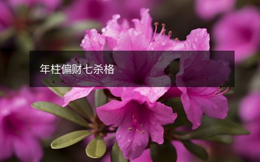 年柱偏财七杀格