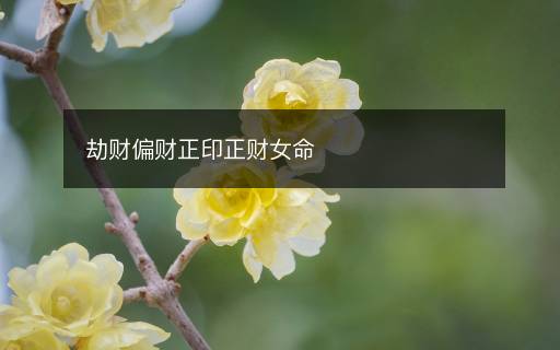 劫财偏财正印正财女命