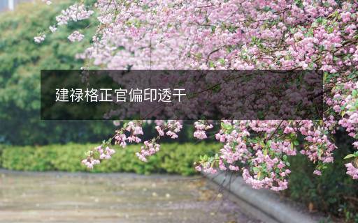 建禄格正官偏印透干 建禄格正官偏印透干