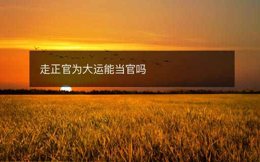 走正官为大运能当官吗