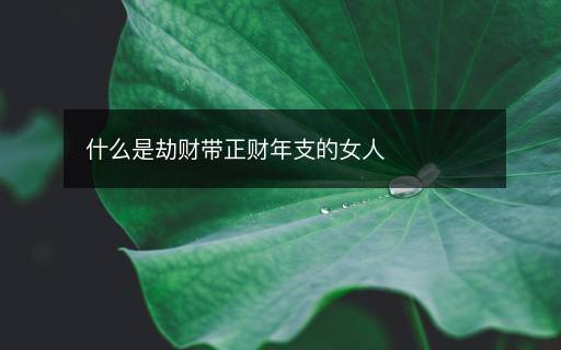 什么是劫财带正财年支的女人