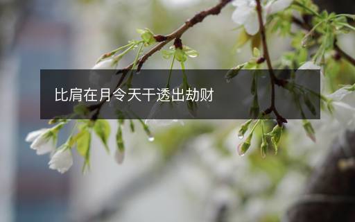 比肩在月令天干透出劫财 比肩在月令天干透出劫财