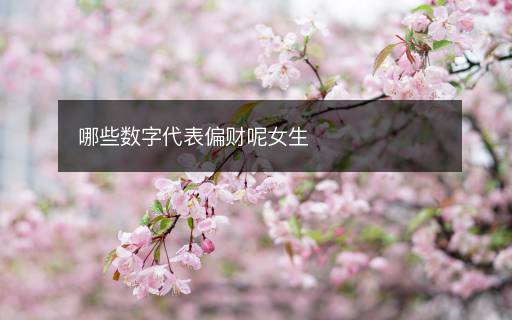 哪些数字代表偏财呢女生