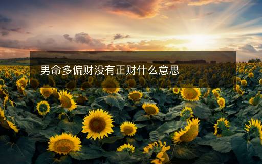 男命多偏财没有正财什么意思