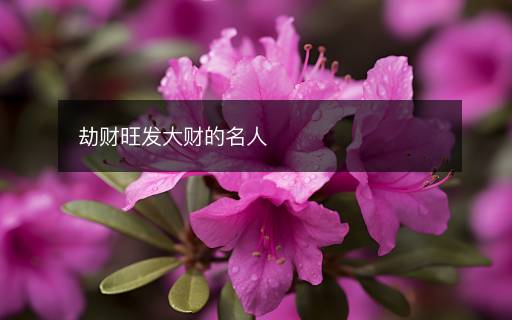 劫财旺发大财的名人