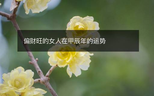 偏财旺的女人在甲辰年的运势