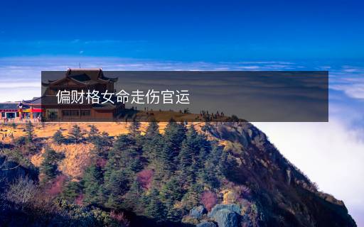 偏财格女命走伤官运