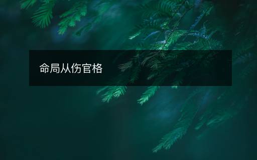 命局从伤官格