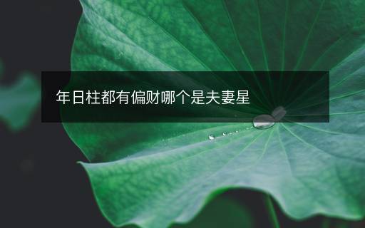 年日柱都有偏财哪个是夫妻星 年日柱都有偏财哪个是夫妻星