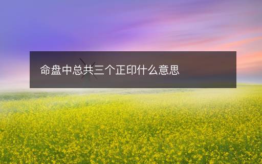 命盘中总共三个正印什么意思