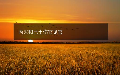 丙火和己土伤官见官