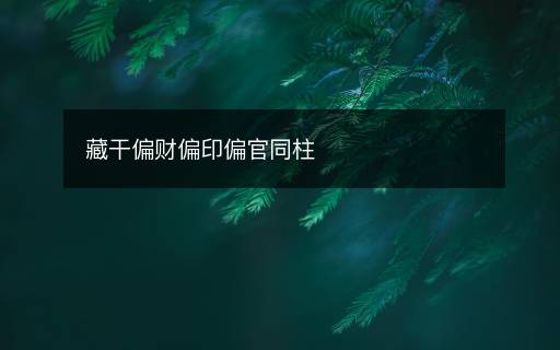 藏干偏财偏印偏官同柱 藏干偏财偏印偏官同柱