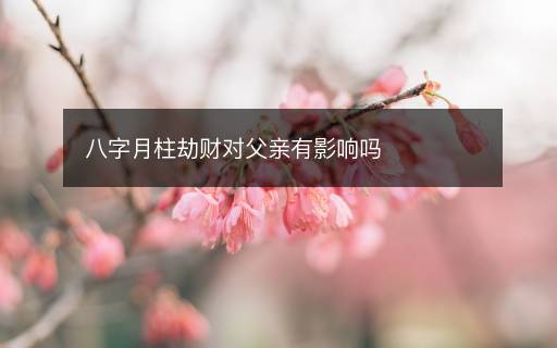 八字月柱劫财对父亲有影响吗