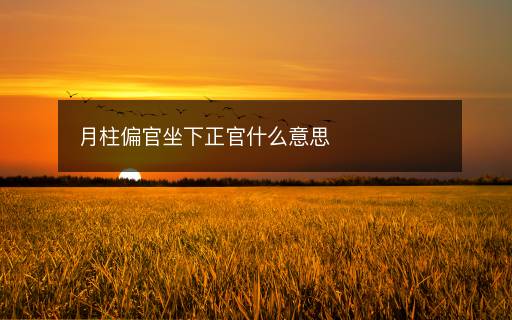 月柱偏官坐下正官什么意思 月柱偏官坐下正官什么意思