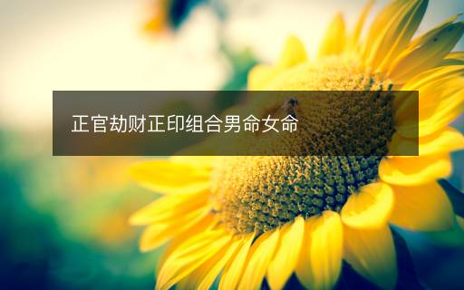 正官劫财正印组合男命女命