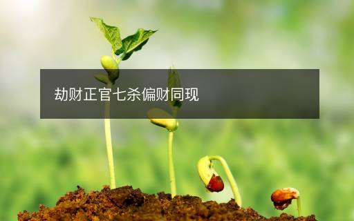 劫财正官七杀偏财同现 劫财正官七杀偏财同现