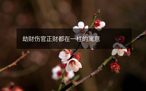 劫财伤官正财都在一柱的寓意 劫财伤官正财都在一柱的寓意
