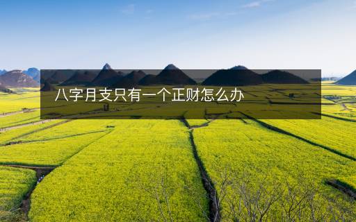 八字月支只有一个正财怎么办