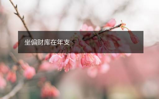 坐偏财库在年支 坐偏财库在年支