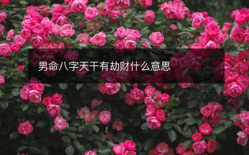 男命八字天干有劫财什么意思