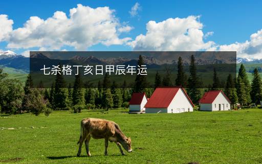 七杀格丁亥日甲辰年运