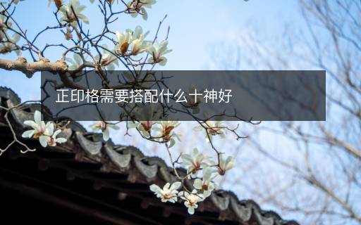 正印格需要搭配什么十神好 正印格需要搭配什么十神好