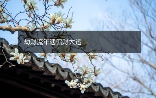 劫财流年遇偏财大运