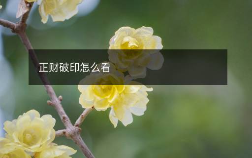 正财破印怎么看