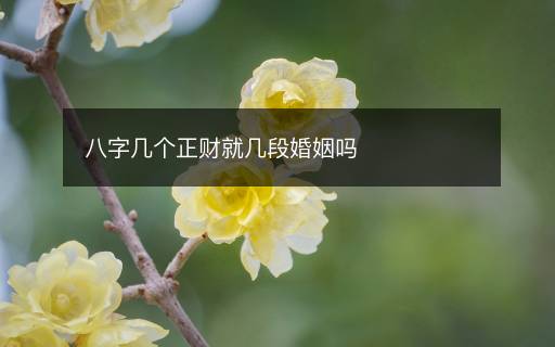 八字几个正财就几段婚姻吗