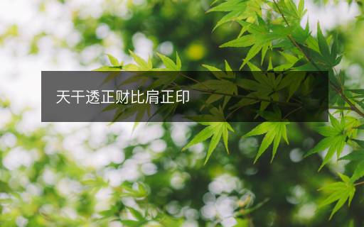 天干透正财比肩正印