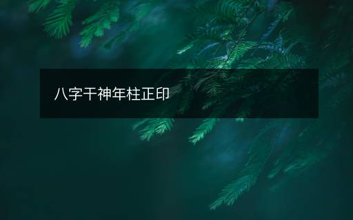 八字干神年柱正印