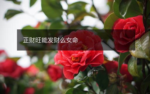 正财旺能发财么女命