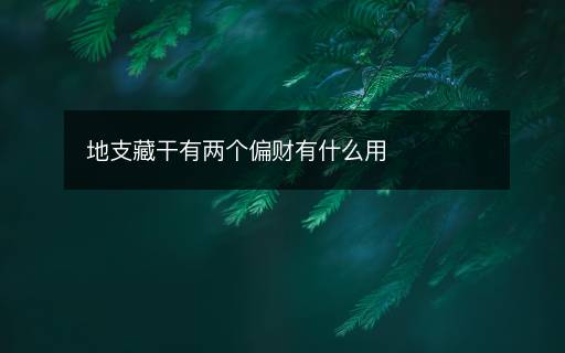 地支藏干有两个偏财有什么用
