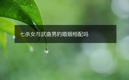 七杀女与武曲男的婚姻相配吗